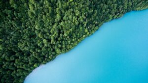 Green coding : réduire l’empreinte environnementale de vos logiciels